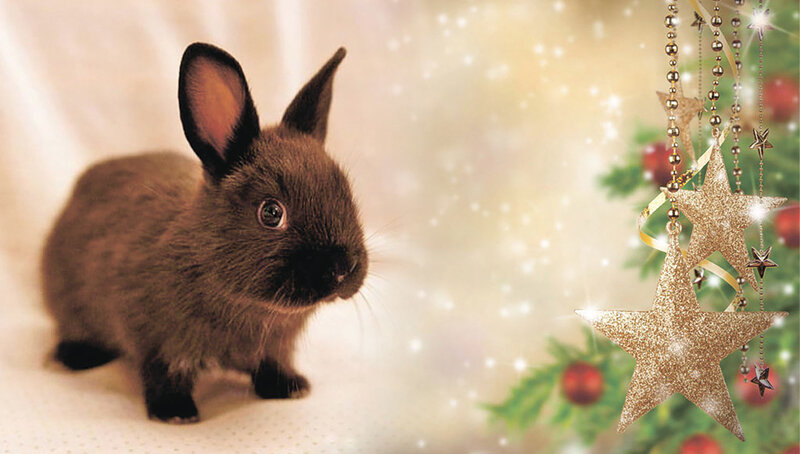 Кролики на новогодней веточке