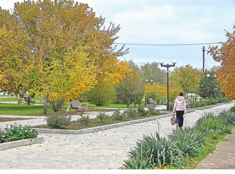 Наследие колхоза-миллионера: чему радуются и на что жалуются жители Петровки Красногвардейского района