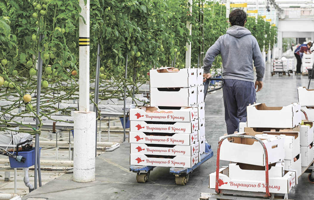 Инвестиционные проекты в Крыму: от переработки макулатуры до роботизации производства