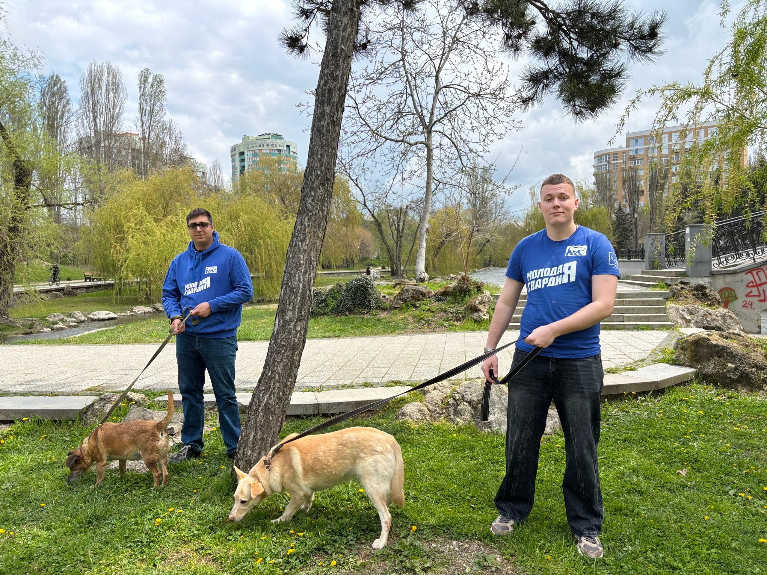 Волонтёры взяли шефство над симферопольским приютом для бездомных животных