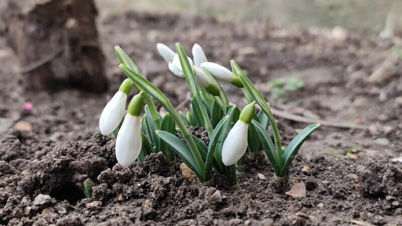 В Крым идёт потепление