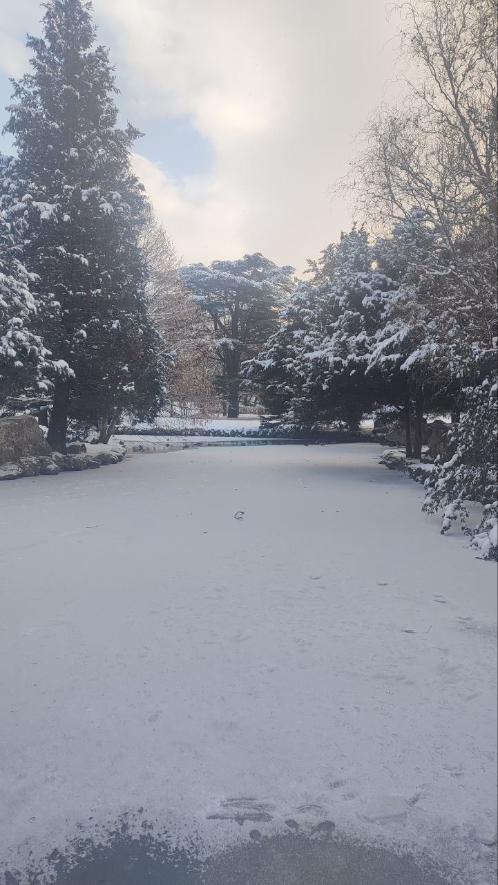 Лёд на водоёмах Крыма может быть непрочным: как избежать несчастных случаев