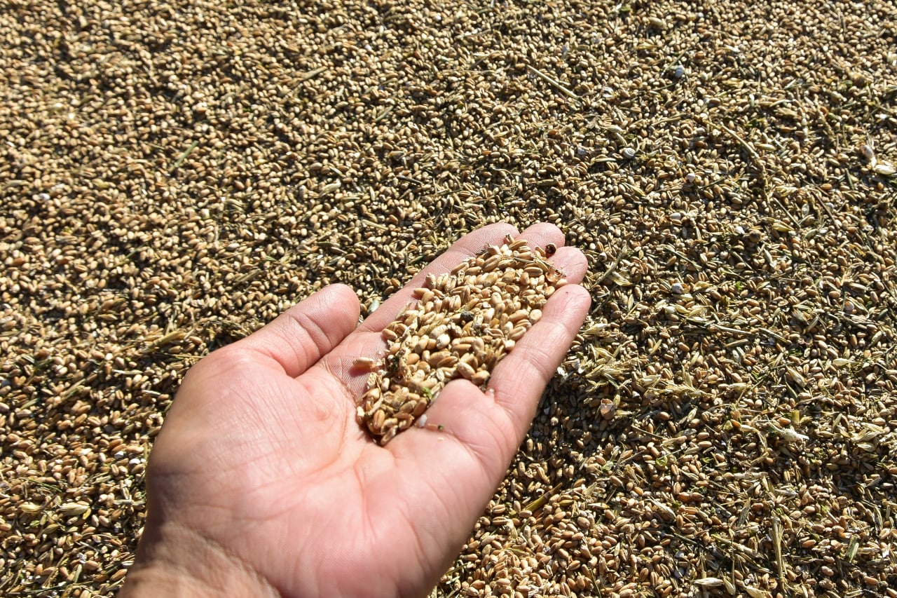 России ограничили доступ к продовольственной программе ООН