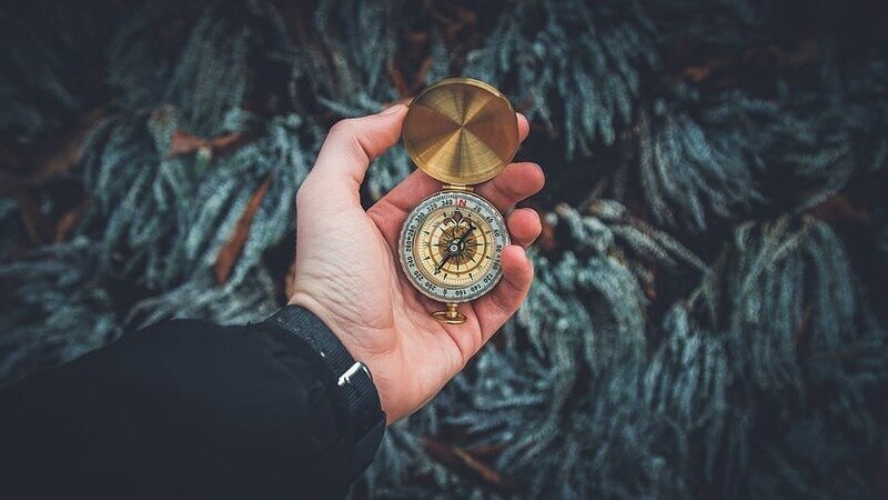 Почему без ориентира человек ходит кругами и где не бывает мурашек на теле: рубрика интересных фактов