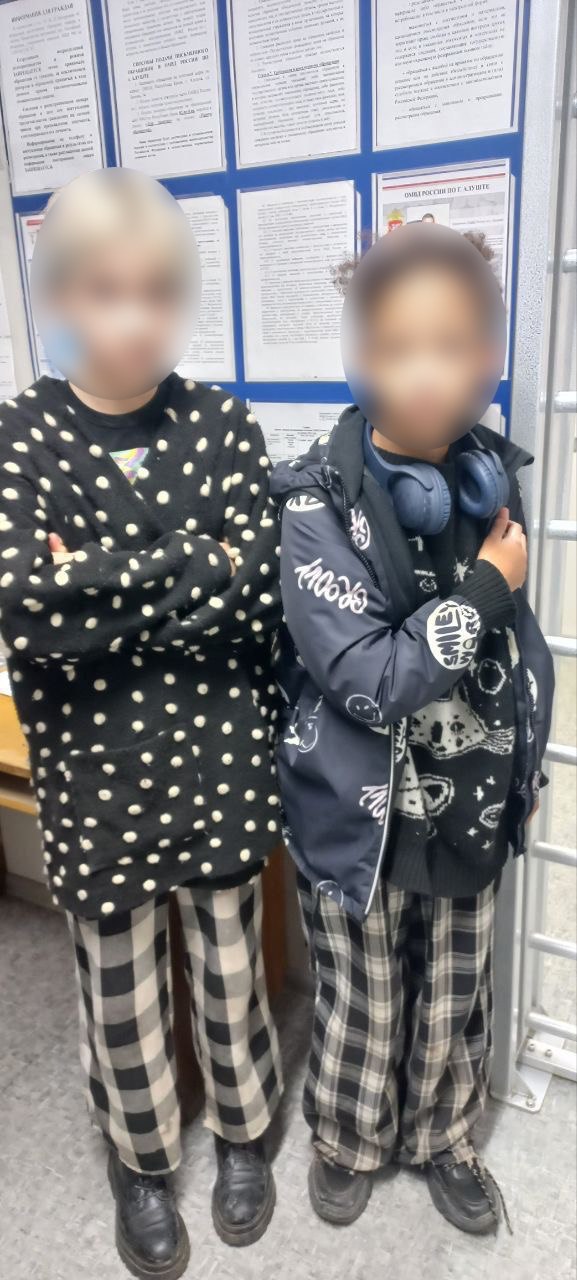 В Крыму нашли двух девочек, похитивших кота в Москве