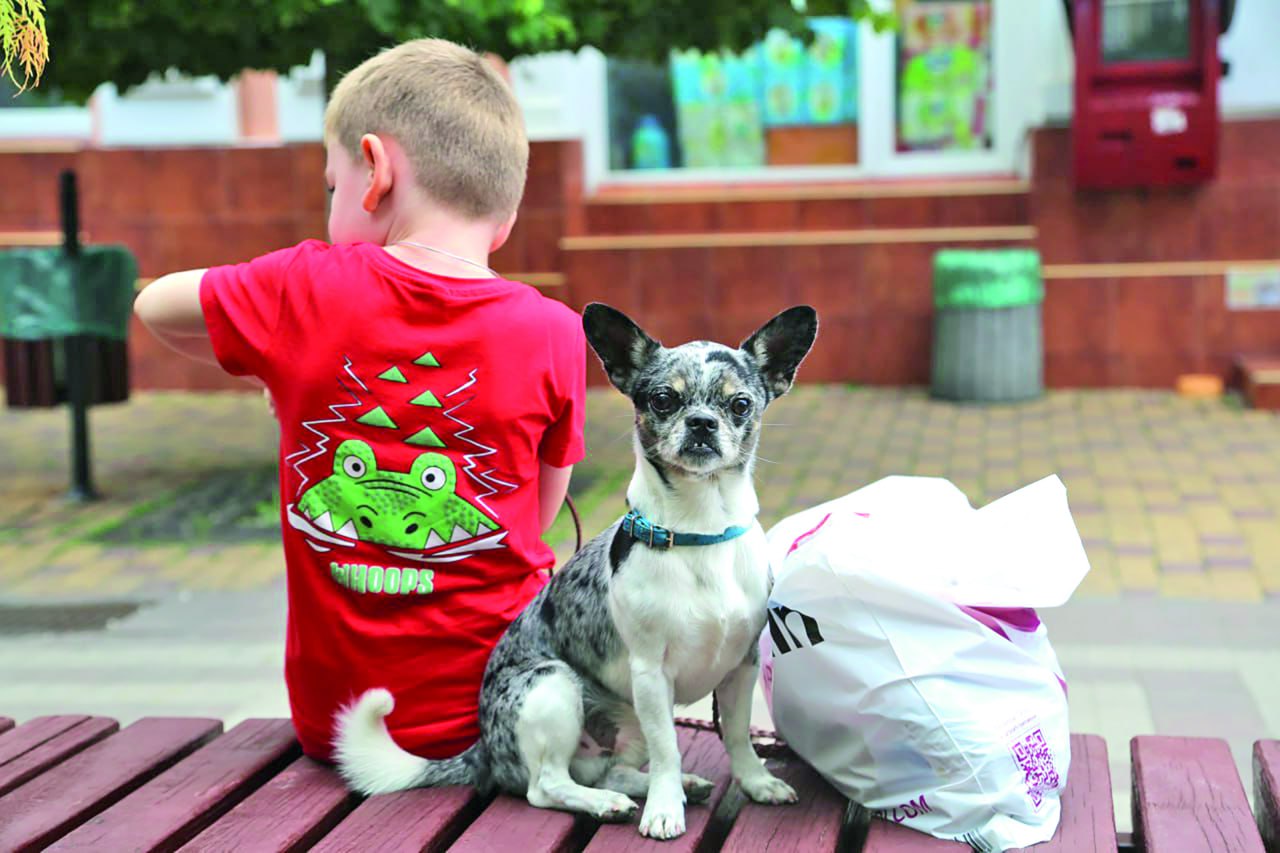 Кинолог рассказала, как избежать агрессии и подготовить собаку к появлению малыша в семье