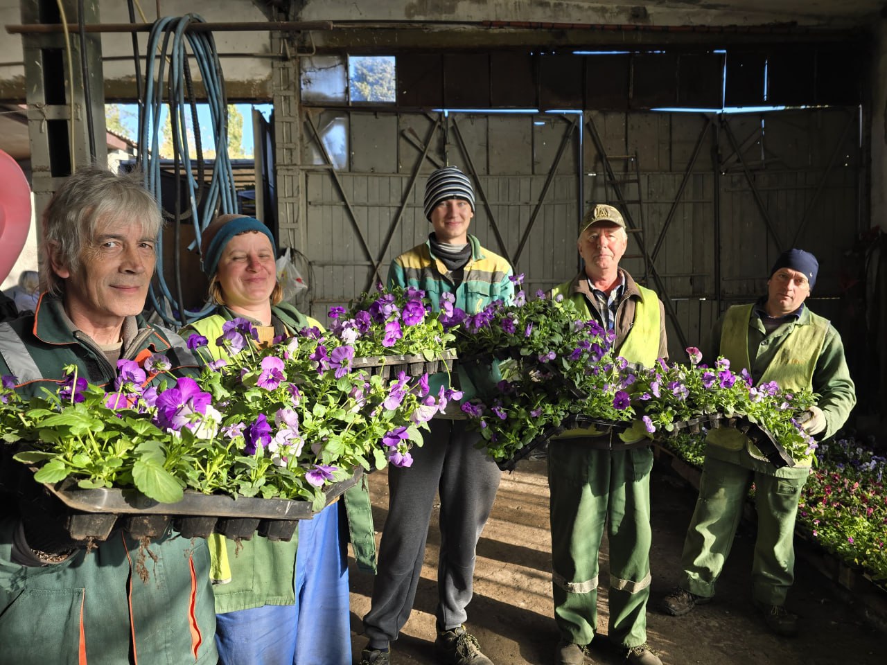До конца года в Ялте высадят более 70 тысяч растений