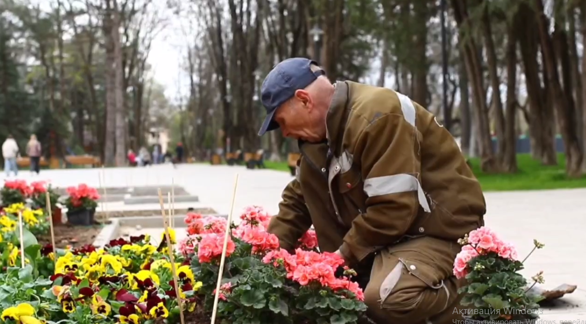 Свыше 3000 цветов высадят на центральной аллее Детского парка Симферополя