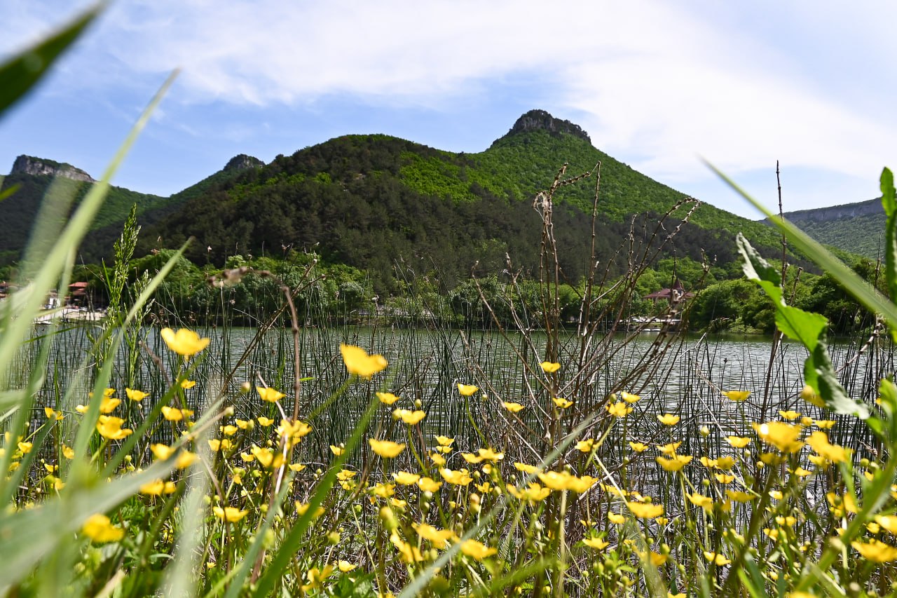 Погода в Крыму 9 мая:дожди, днём до +20
