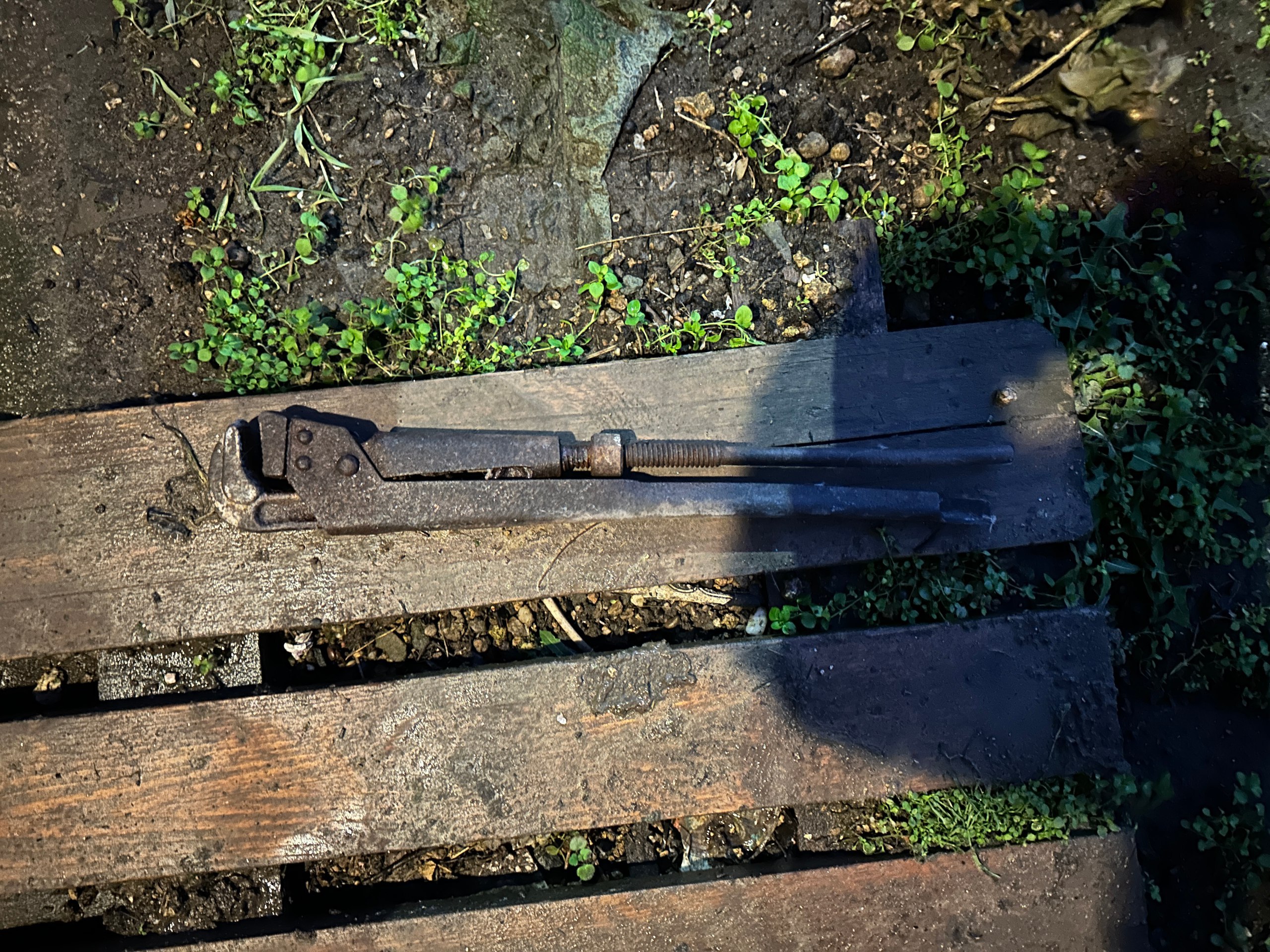 Пьяная крымчанка из-за ревности к бывшему выбила стёкла в доме соседки