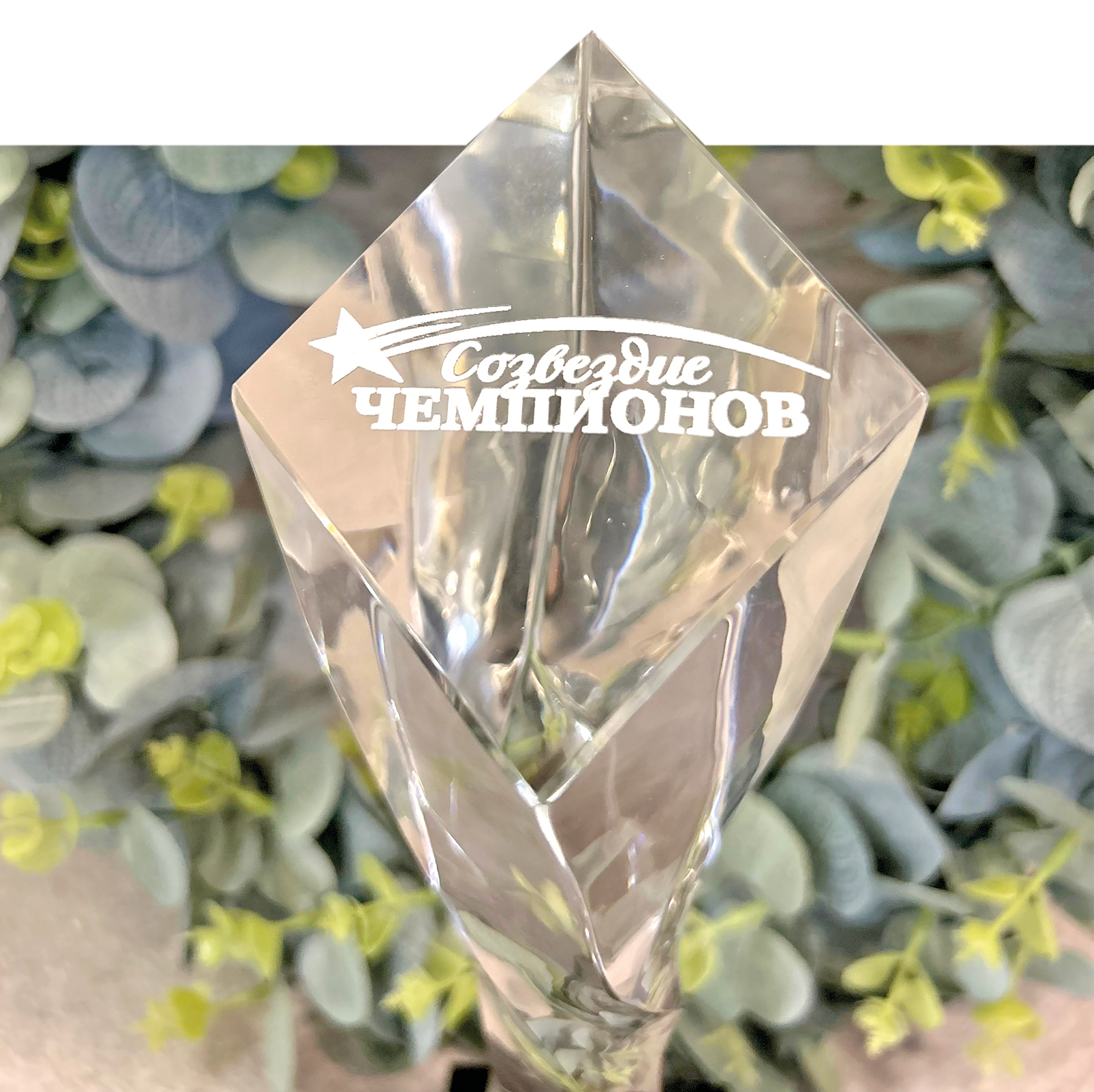 Крымские кикбоксёры завоевали четверть всех медалей региона в 2025 году