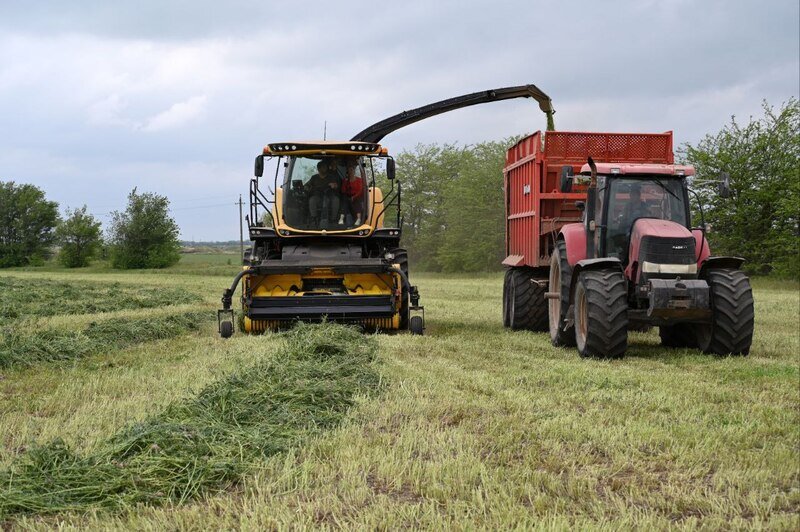 Фермеры Крыма заготовили 35 тыс тонн кормов для животных