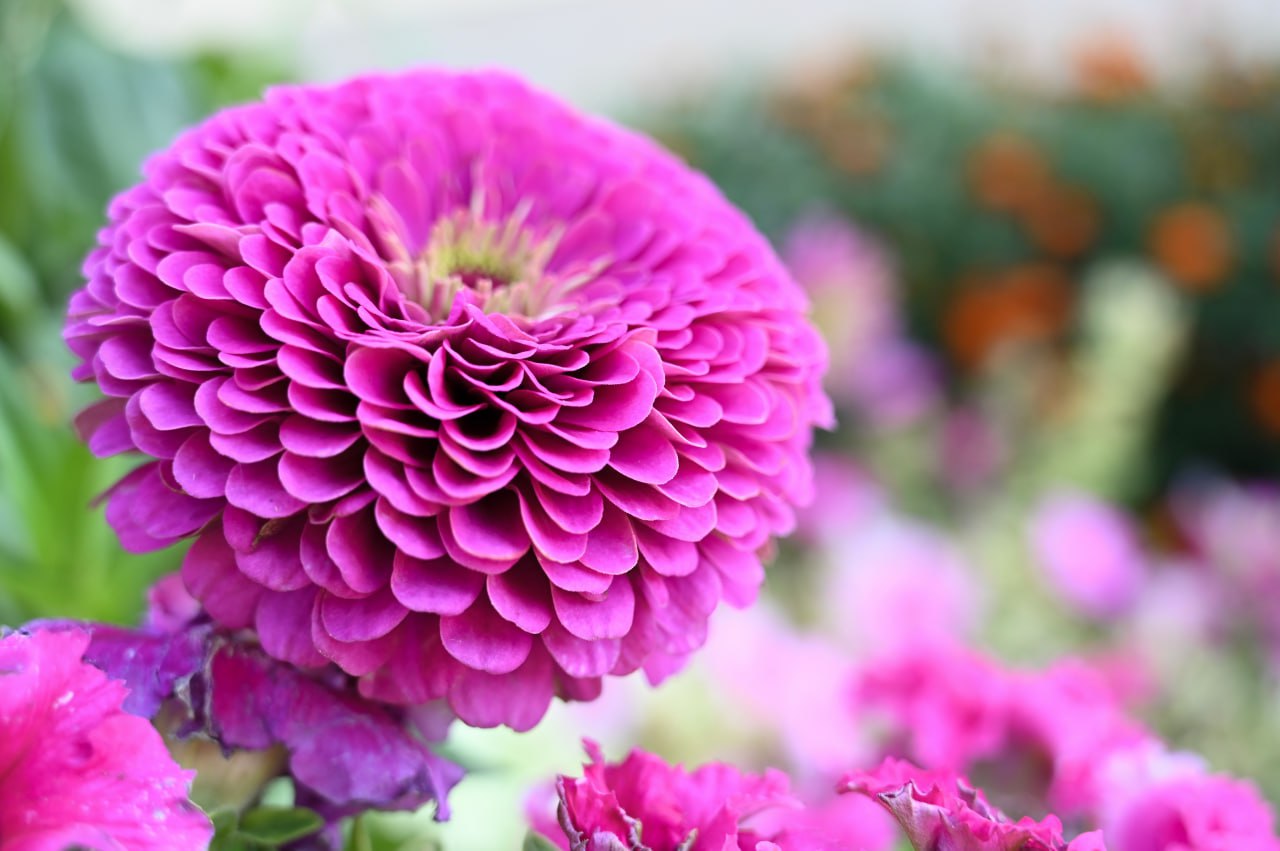 Погода в Крыму 10 августа: днём до +32