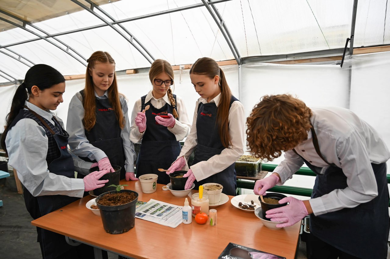 В крымских школах открываются классы, где дети изучают основы сельского хозяйства