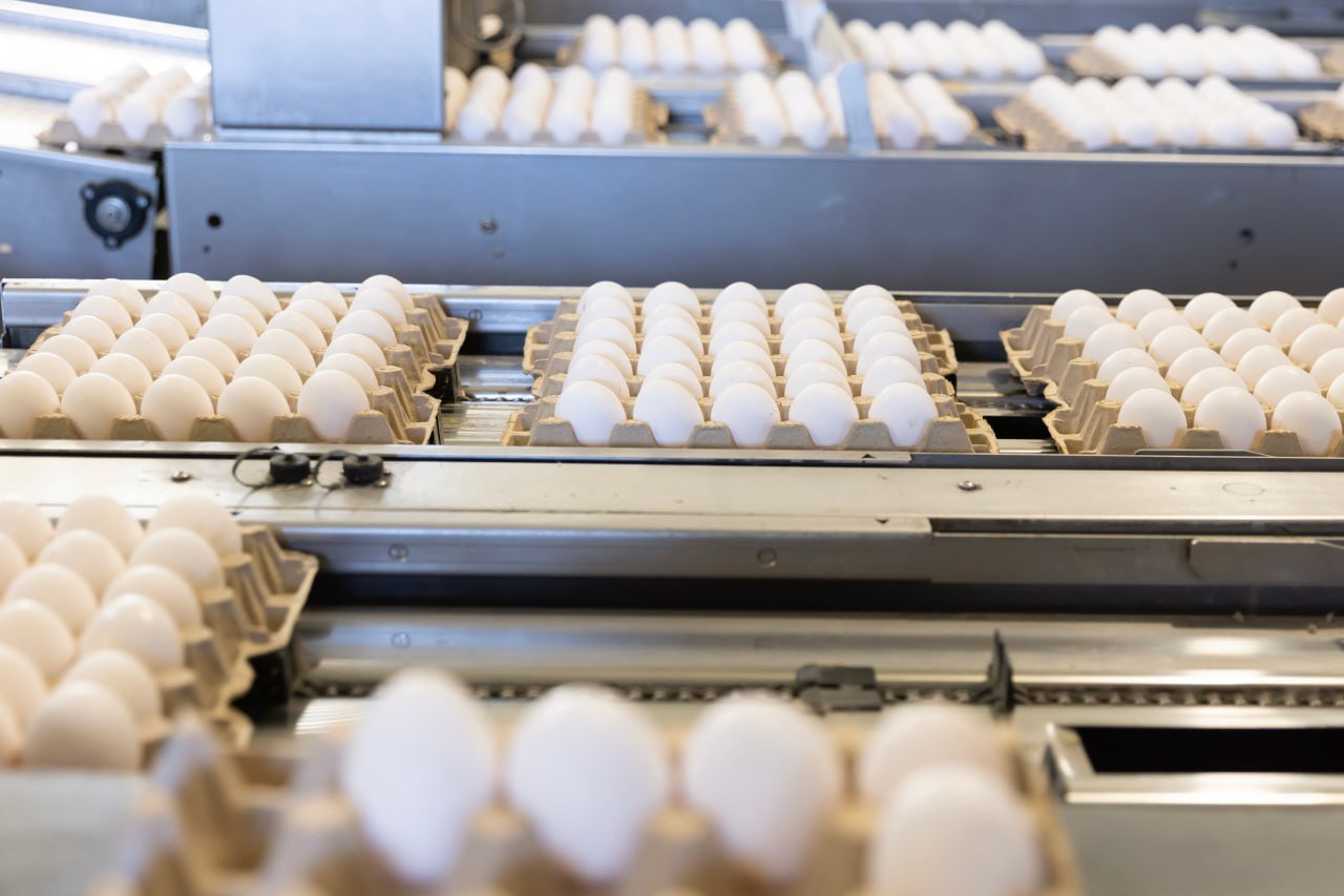 За два месяца на одном из крупнейших птицеводческих хозяйств Крыма произвели свыше 12 млн яиц
