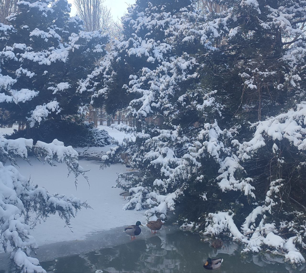 В Крыму усилили контроль за водоёмами для предотвращения несчастных случаев на льду