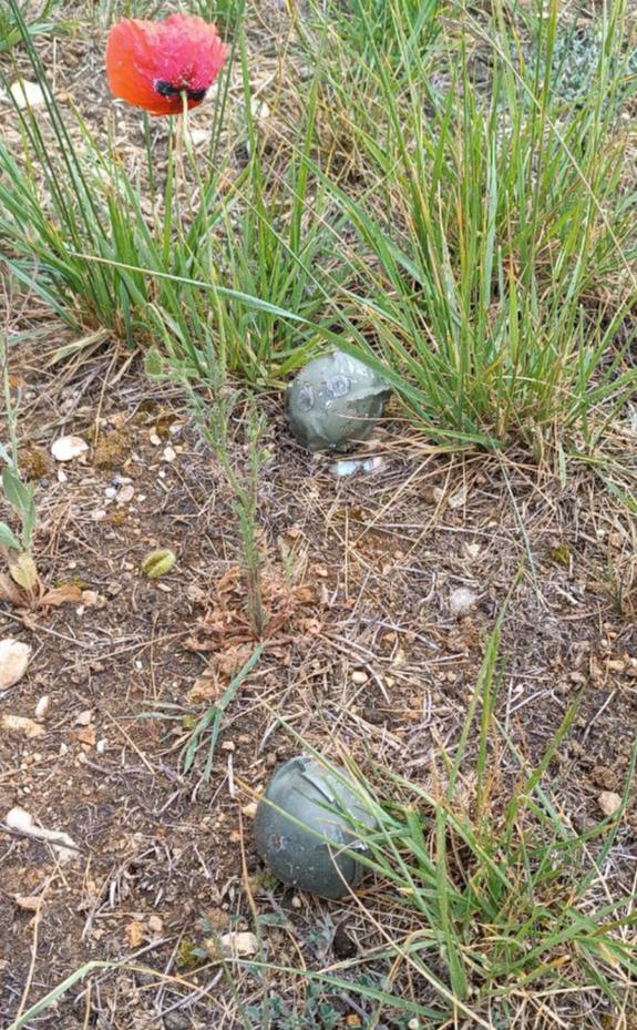 Севастопольцев предупредили об опасности несдетонировавших суббоеприпасов