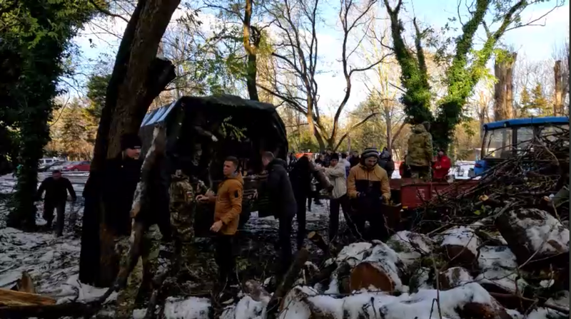 Дрова из поваленных штормом деревьев отправили в зону СВО