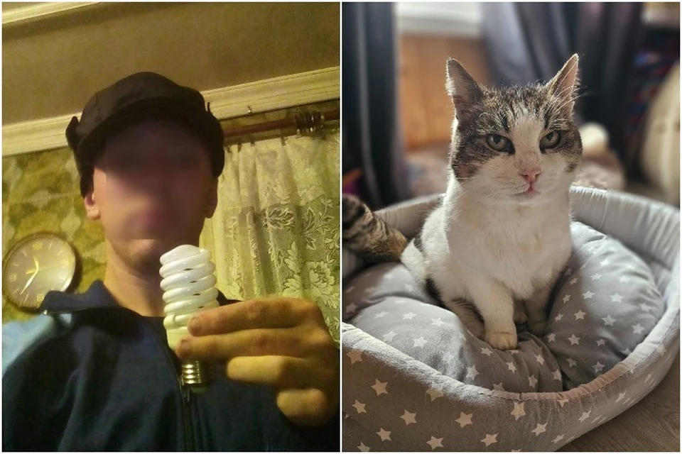 Живодёра, скинувшего кошку Мусю со скалы, держат под наблюдением в больнице