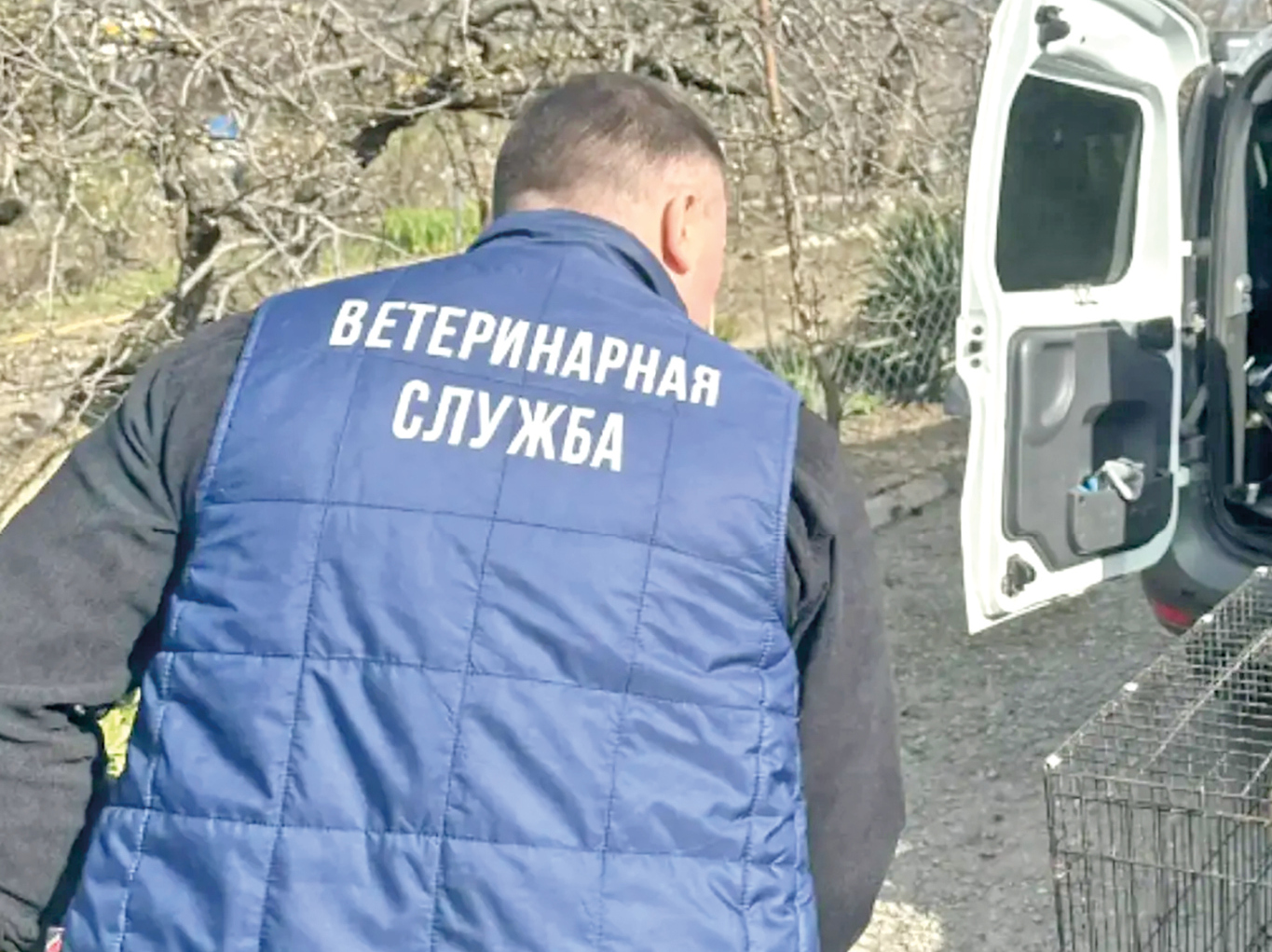Центр ветеринарии Крыма ликвидируют до конца года