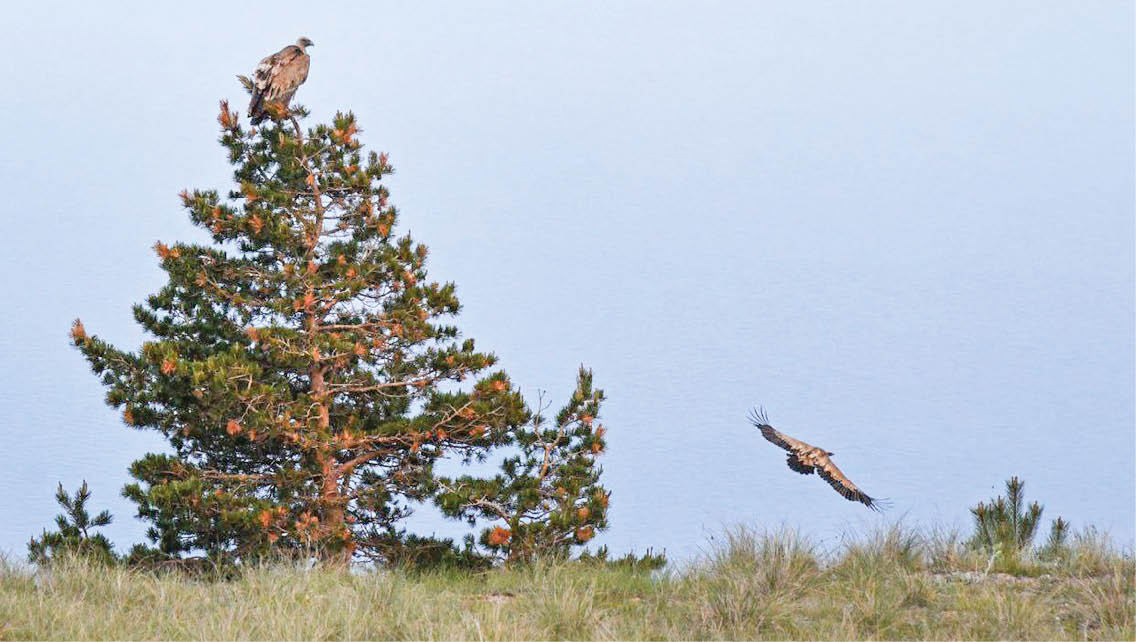 Часть маршрутов «Заповедного Крыма» закрыли для посещения