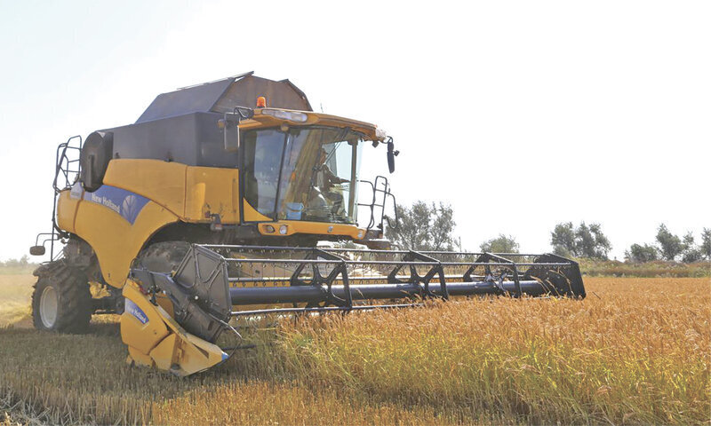 Рекордного урожая зерновых в Крыму не ожидается 