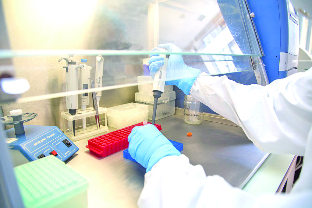 Чума в Иркутской области: где правда, а где коллективная истерика