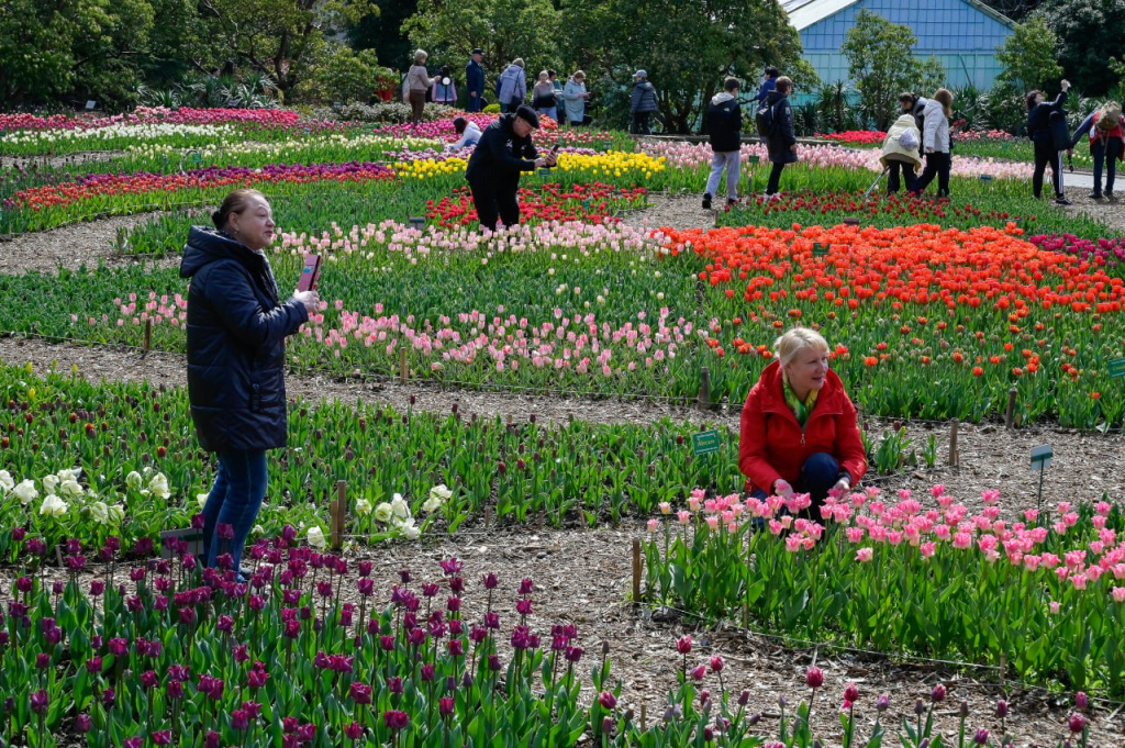 В Крыму воссоздадут уникальный розарий, аналогов которому нет ни в России, ни в Европе