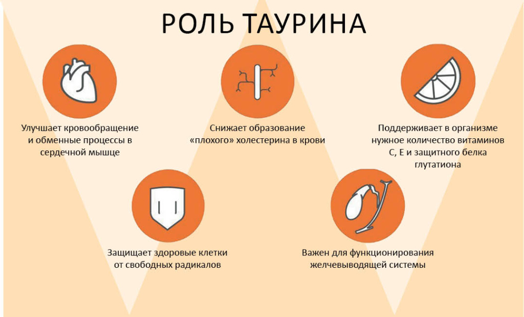 Инфографика: forumjizni.ru 6-1 таурин.jpg