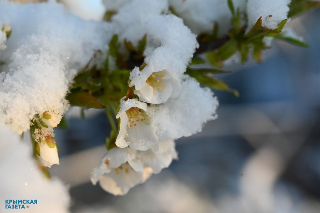 Погода в Крыму 9 апреля: мокрый снег и дождь