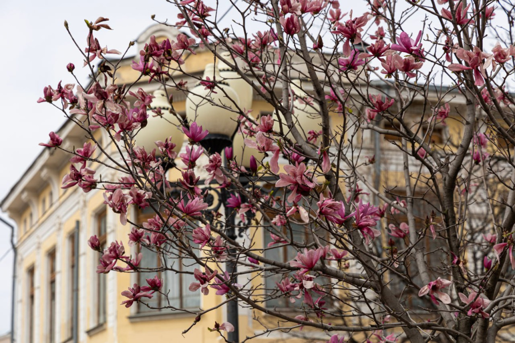 Погода 17 апреля: до +21 и солнечно