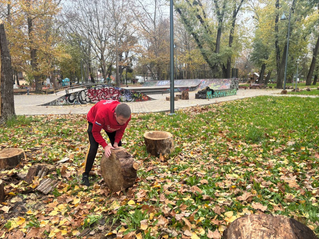 ОНФ в Крыму ОНФ в Крыму