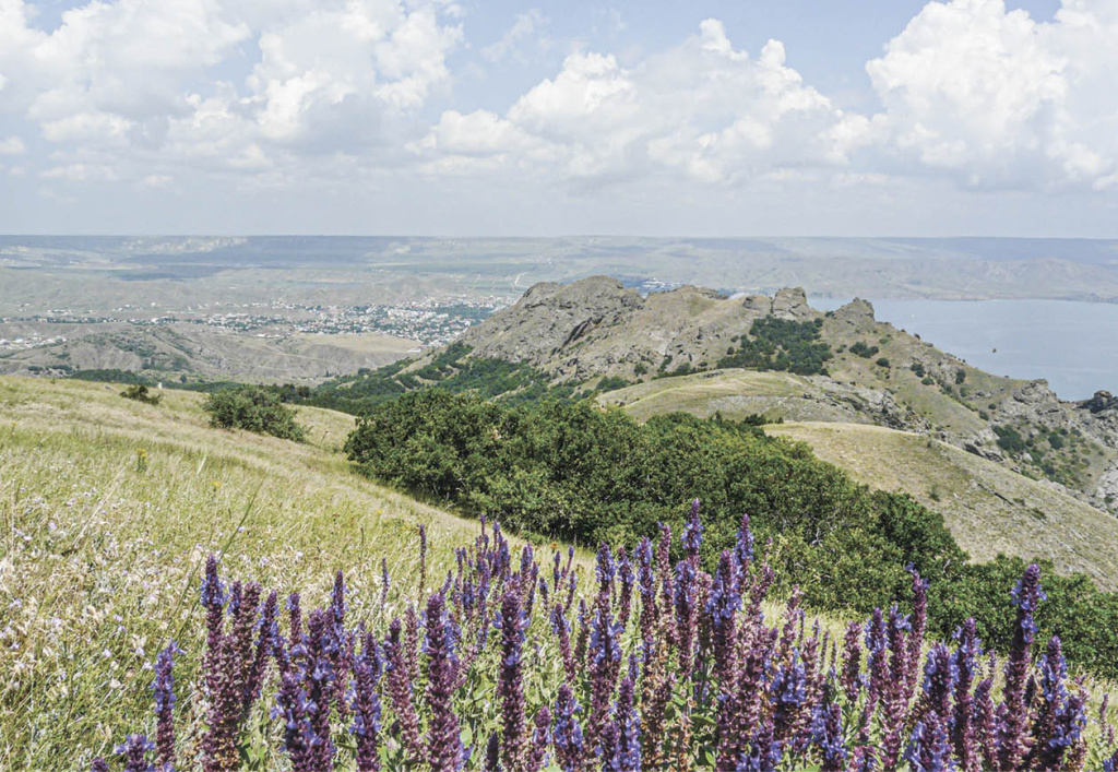 Иван Коваленко Иван Коваленко