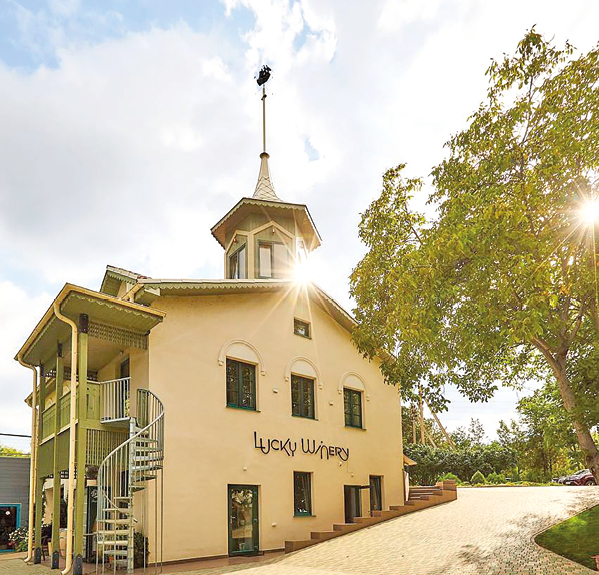 архивы виноделен. 27-3вино.jpg