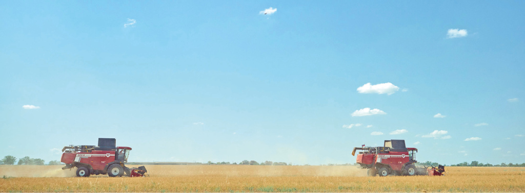 Евгений Летов Евгений Летов