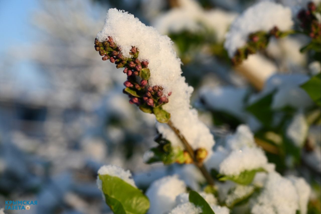 Погода в Крыму 12 апреля: мокрый снег и дождь