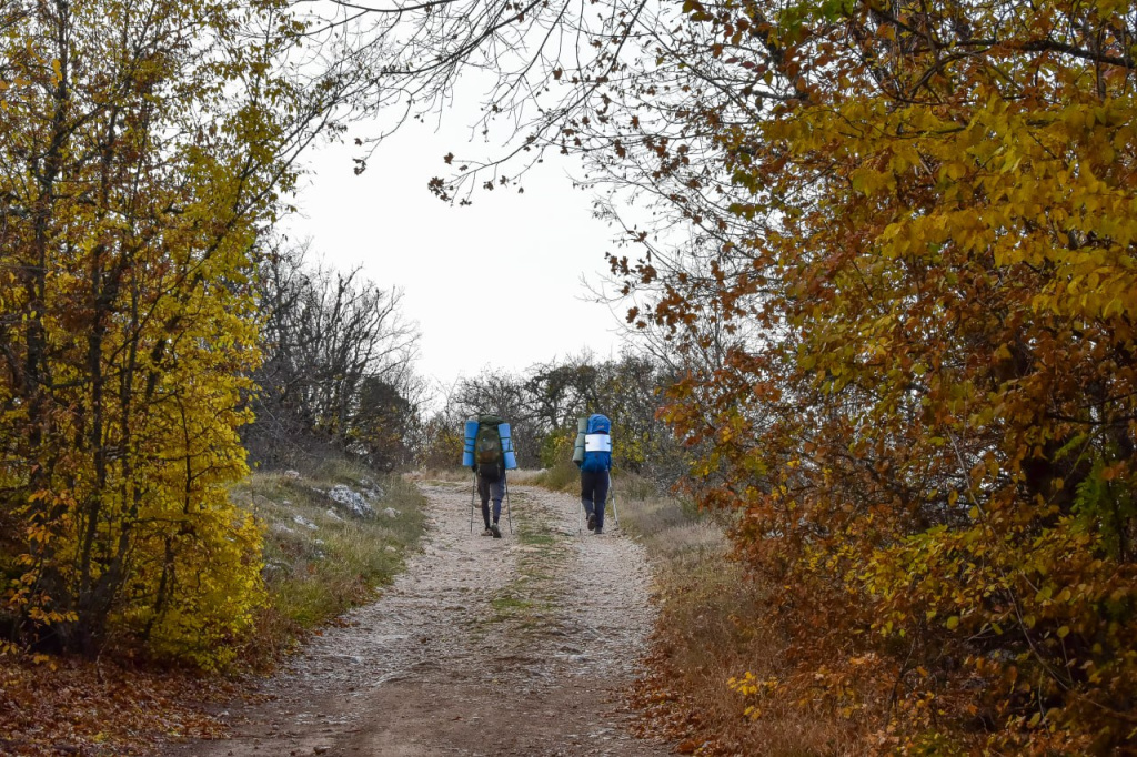 Почему человек без ориентиров не может идти прямо и правда ли, что кипяток быстрее гасит огонь: рубрика интересных фактов
