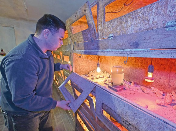 Гала Амарандо photo_2025-03-28_15-45-18 (4).jpg