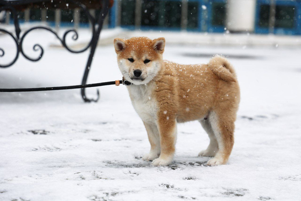 Погода в Крыму 19 февраля: днём до +2, местами снег