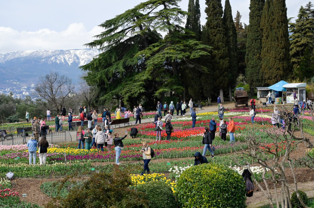 На параде тюльпанов в Никитском ботаническом саду представят рекордное количество новинок
