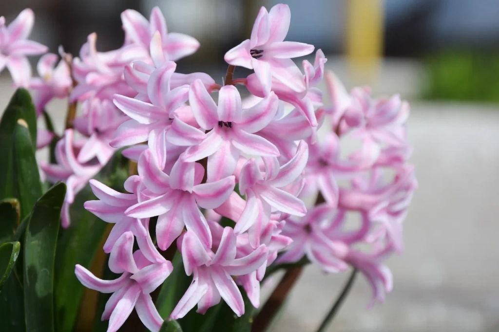 Погода 23 года: дожди, днём до +12