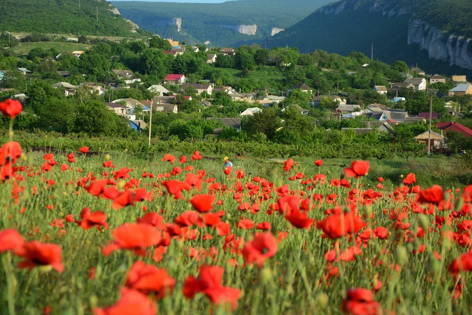 Погода 10 июня: ночью до +22