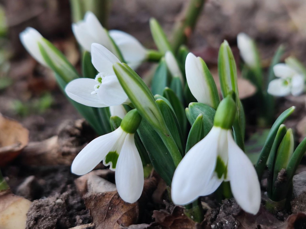 Март в январе: в Гидрометцентре Крыма рассказали о погоде на этой неделе