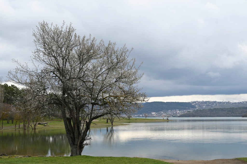 Как наполнились водохранилища Крыма, где построят новые и почему аграриям не стоит расслабляться