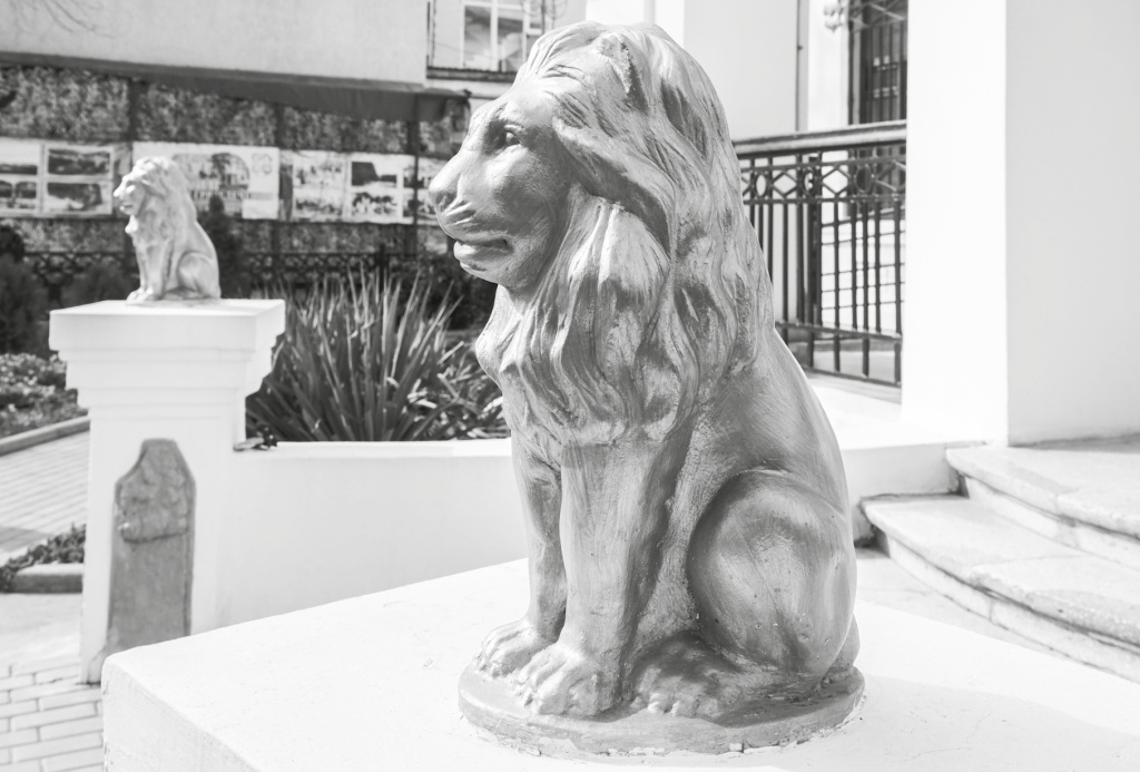 Фото: Наталья Сомова 23-2.jpg