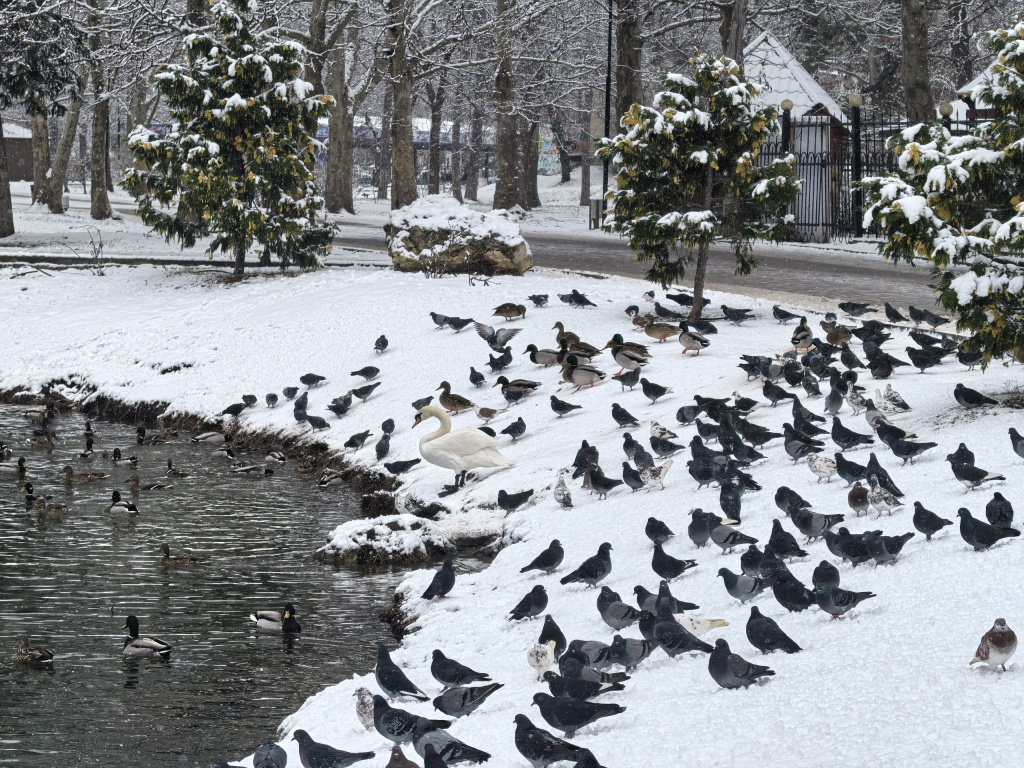 Погода 16 января: ночью до -8 