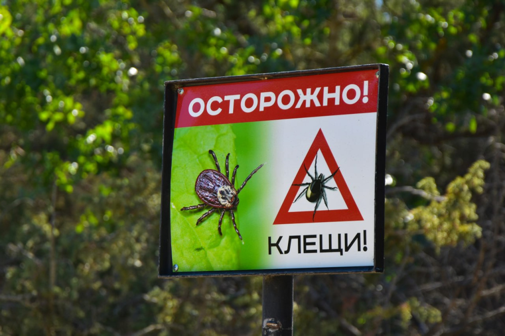 В Крыму зарегистрировано четыре случая заражения опасной клещевой инфекцией