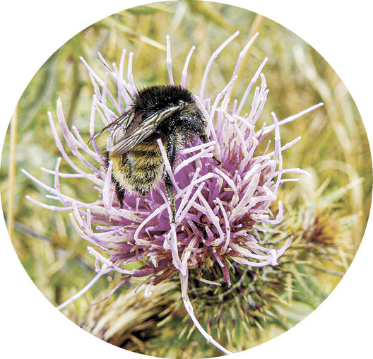 Иван Коваленко Иван Коваленко