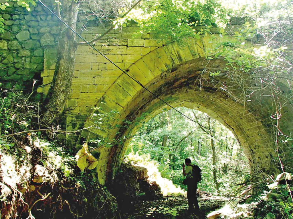 Михаил СЕМЁНОВ Михаил СЕМЁНОВ