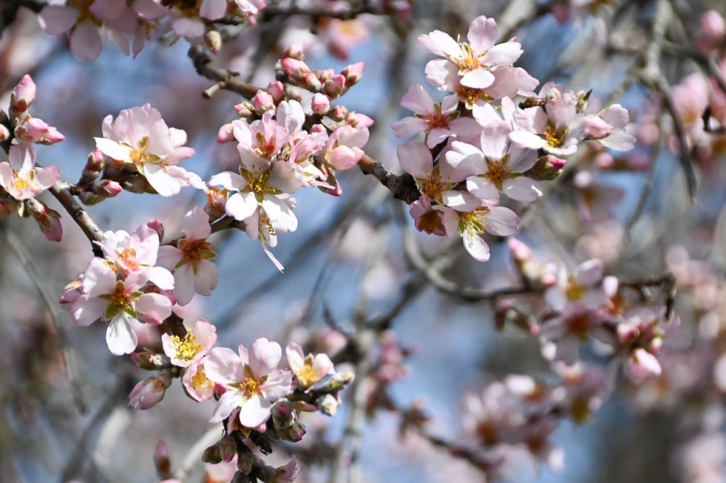 Фото: Гала Амарандо Фото: Гала Амарандо